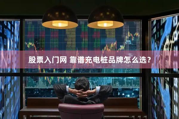 股票入门网 靠谱充电桩品牌怎么选？