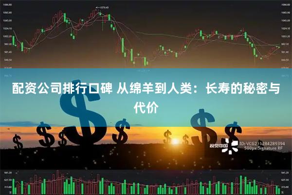 配资公司排行口碑 从绵羊到人类：长寿的秘密与代价