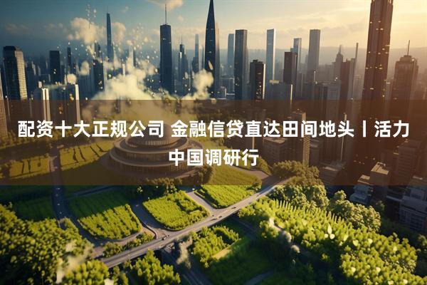 配资十大正规公司 金融信贷直达田间地头丨活力中国调研行